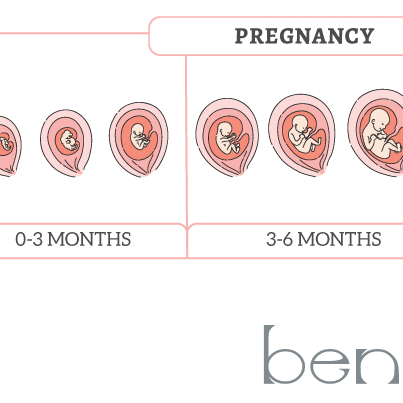 info-graphic-fertility
