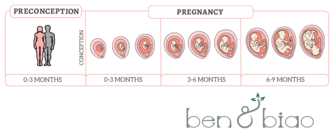 info-graphic-fertility